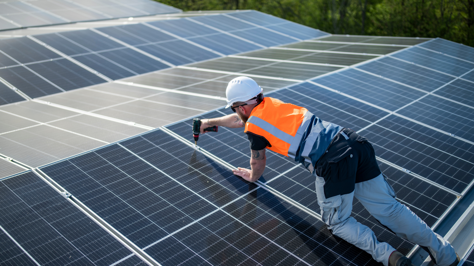 Solar team